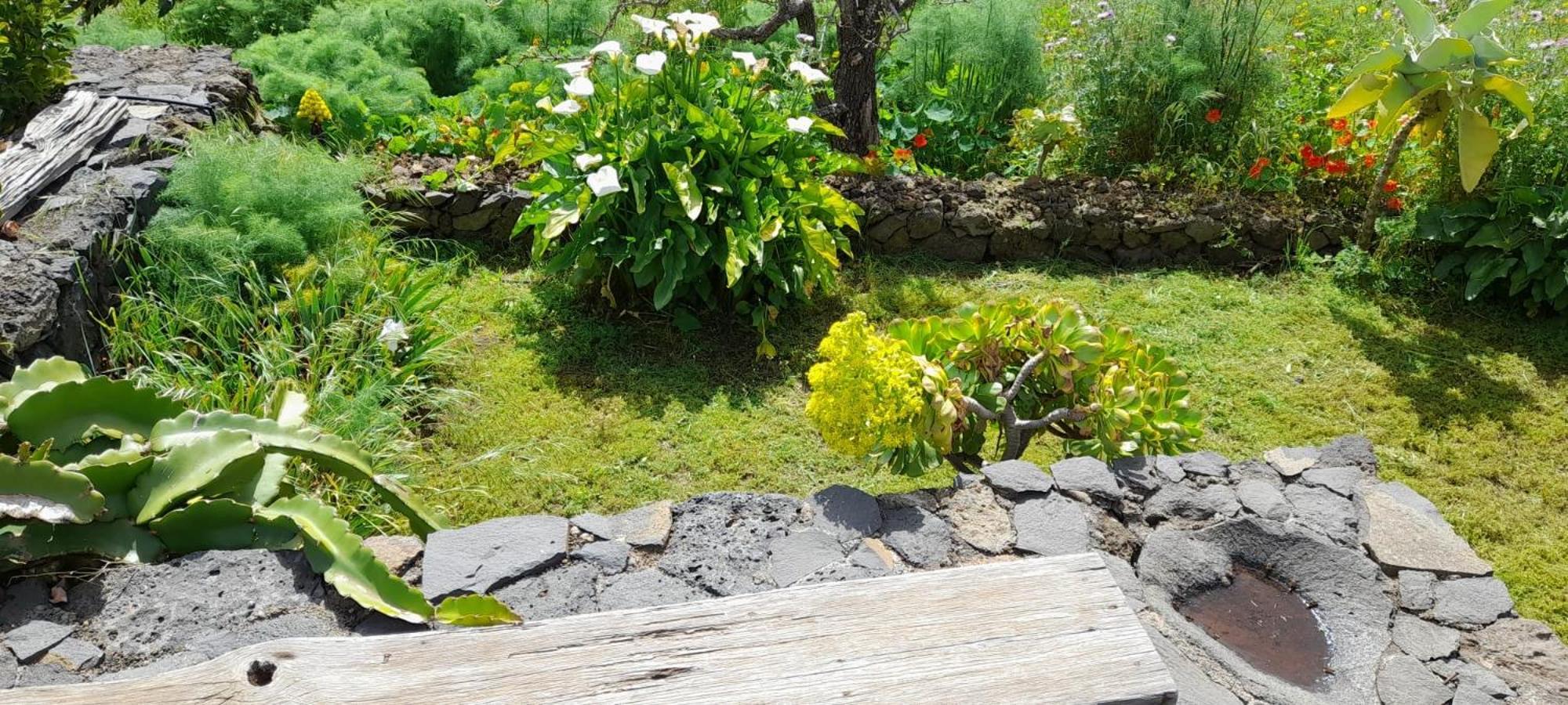 Casa Las Escaleritas Isora エクステリア 写真